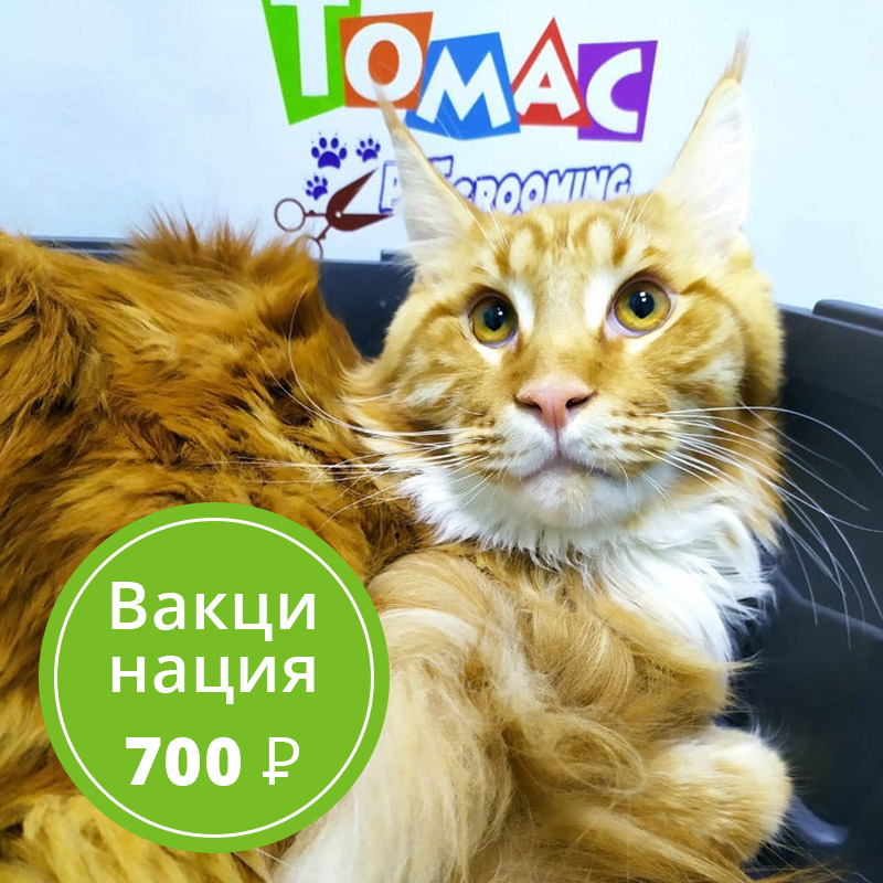 Акции
